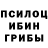 Галлюциногенные грибы Psilocybe Fred Fred2020